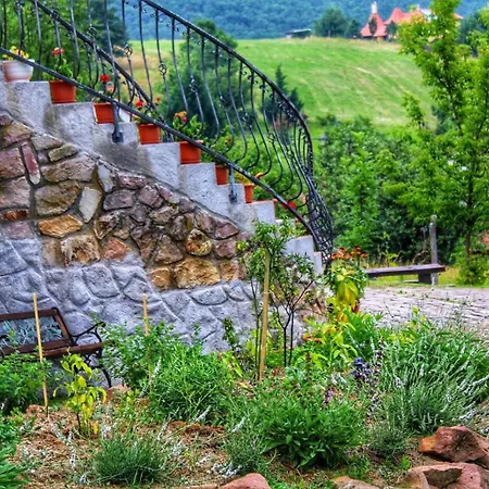 The Mountain - Hegyi Kucko Couette-café