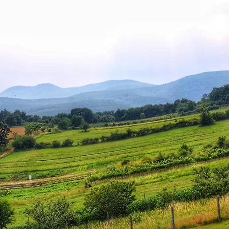 The Mountain - Hegyi Kucko