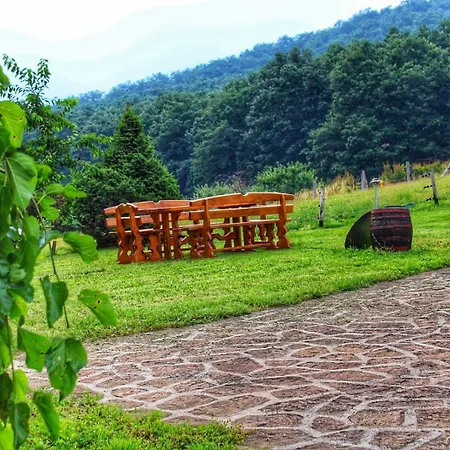 The Mountain - Hegyi Kucko *