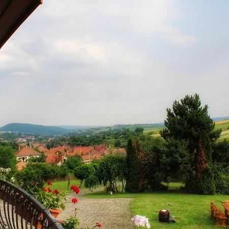 The Mountain - Hegyi Kucko *