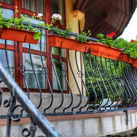 Bed & Breakfast The Mountain - Hegyi Kucko Bukkzserc