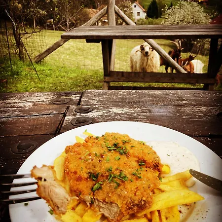 Alojamento de Acomodação e Pequeno-almoço The Mountain - Hegyi Kucko Bukkzserc